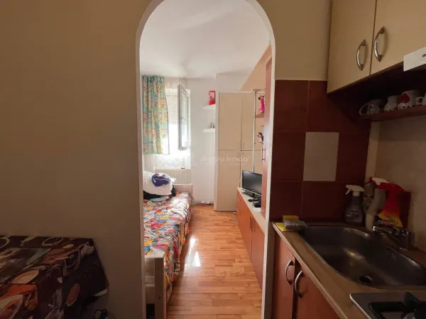 Apartament 1 camera Lugoj - poza 4