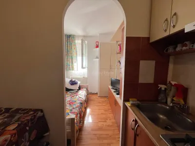 Apartament 1 camera Lugoj - poza 4