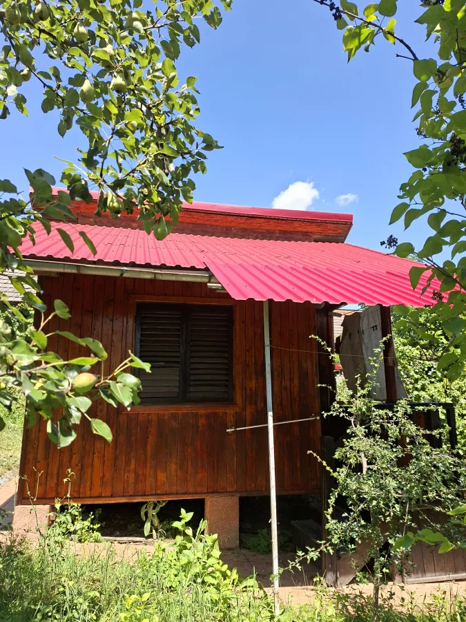 Vând proprietate Brănești Dâmbovița  - Branesti