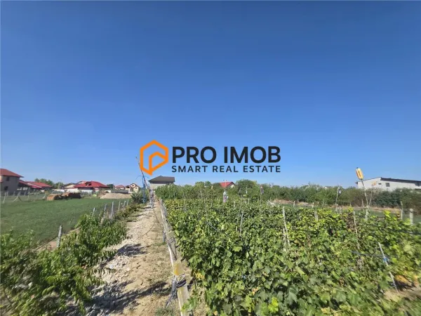 Casă 6 camere Lamotesti - poza 12