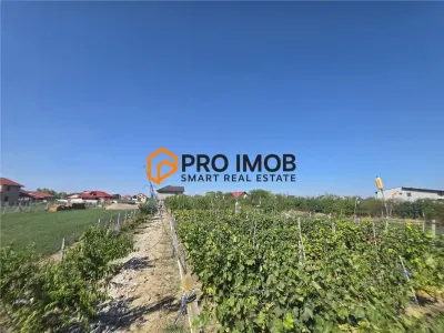 Casă 6 camere Lamotesti - poza 12