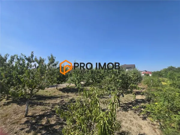 Casă 6 camere Lamotesti - poza 10