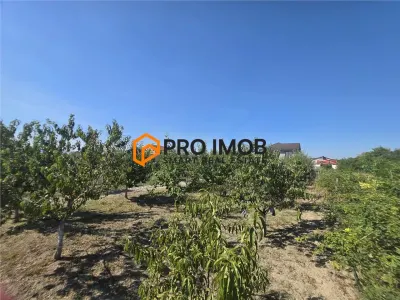 Casă 6 camere Lamotesti - poza 10
