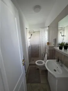 Casă 4 camere Tunari - poza 6