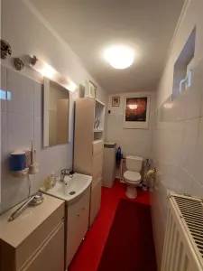 Casă 5 camere Pogoanele - poza 16