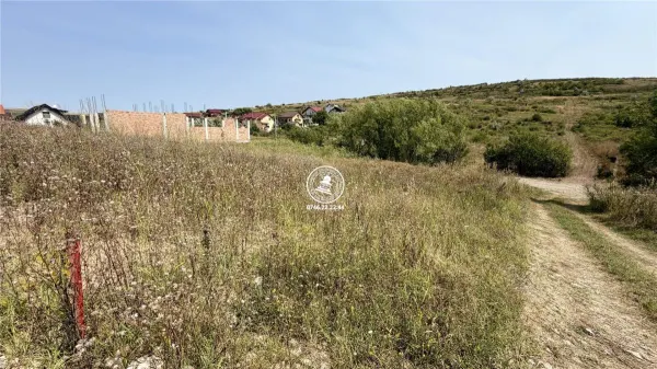 Teren Aroneanu - poza 1