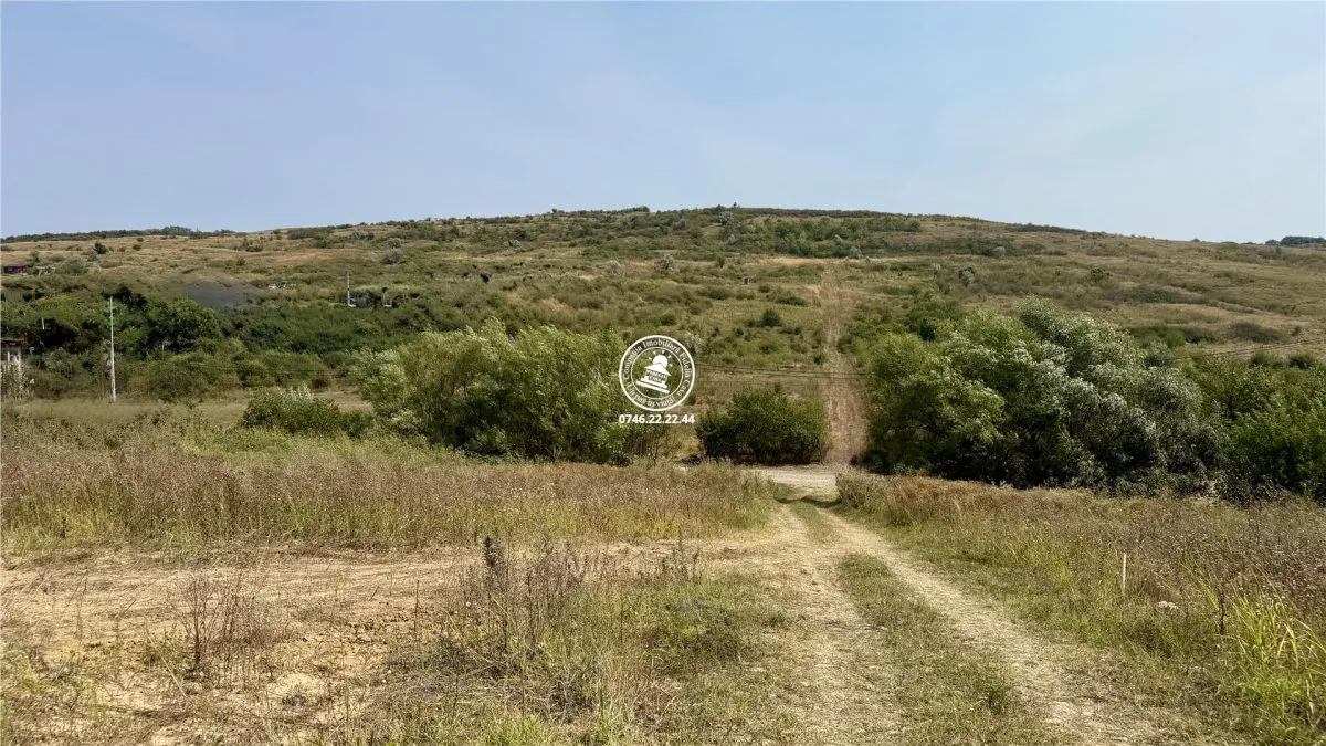 Teren Aroneanu - poza 1