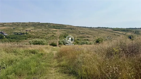 Teren Aroneanu - poza 2