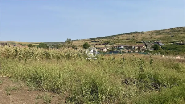 Teren Aroneanu - poza 5