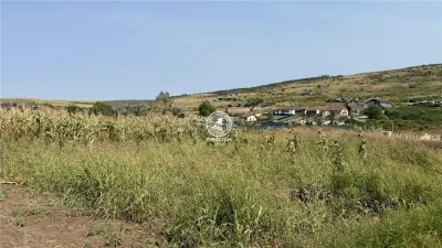 Teren Aroneanu - poza 5
