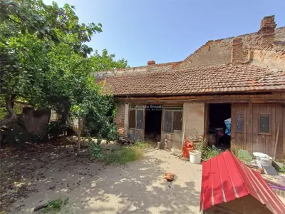 Casă 5 camere Moldova Noua - poza 32