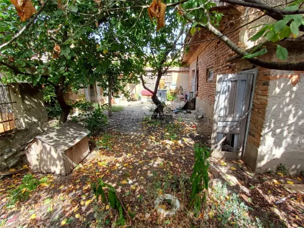 Casă 5 camere Moldova Noua - poza 33