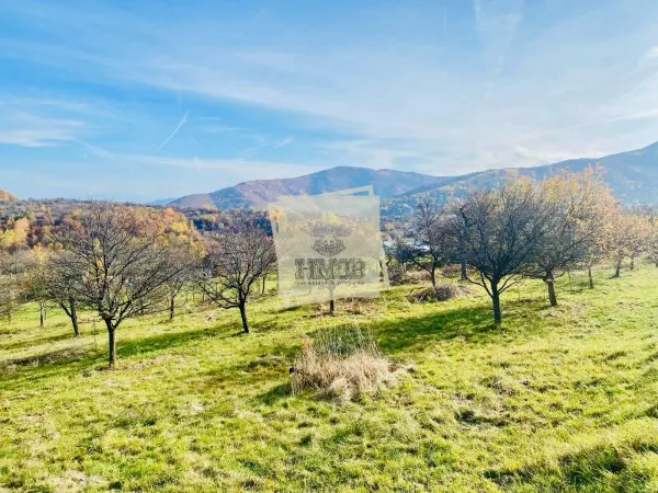 Teren Saliste - poza 1