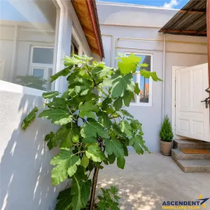 Casă 3 camere Brașov - poza 9