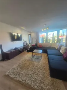Casă 5 camere Moșnița Nouă - poza 10