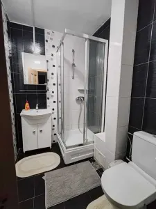Apartament 2 camere Iași - poza 6
