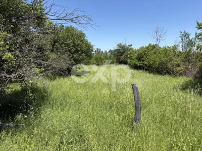 Teren 2.200 mp | 11 km de Pitești | Vanzare integral sau parcelă de 500 mp - Poiana Lacului