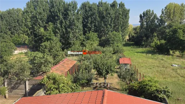 Casă 6 camere Marghita - poza 14