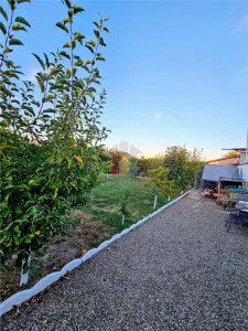 Casă 5 camere Varsatura - poza 16