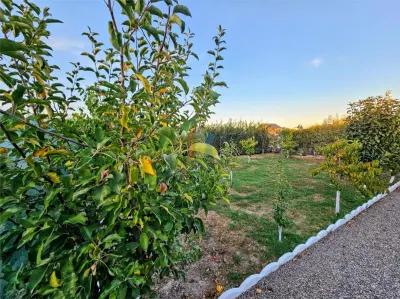 Casă 5 camere Varsatura - poza 17