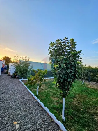 Casă 5 camere Varsatura - poza 18