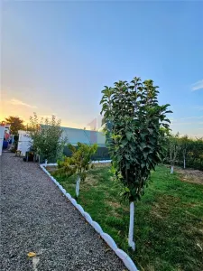 Casă 5 camere Varsatura - poza 18