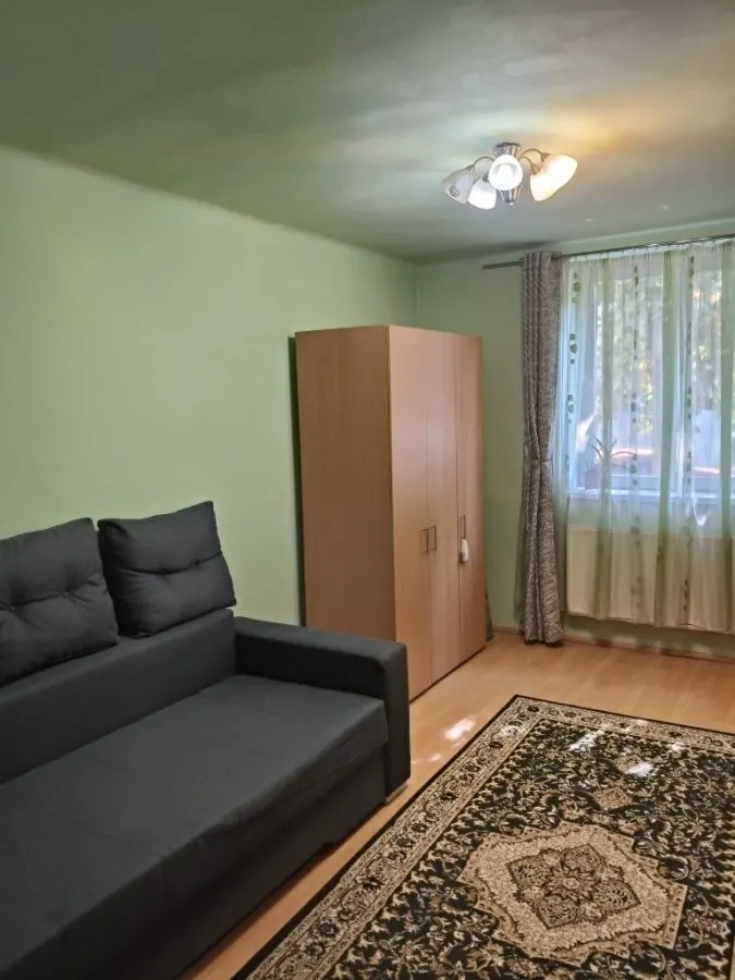 Apartament 2 camere Timișoara - poza 1