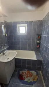 Apartament 2 camere Timișoara - poza 7