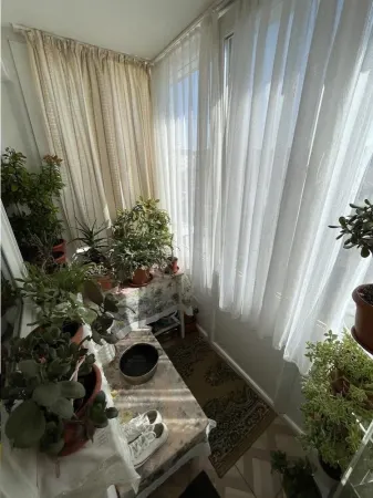 Apartament 3 camere Timișoara - poza 4