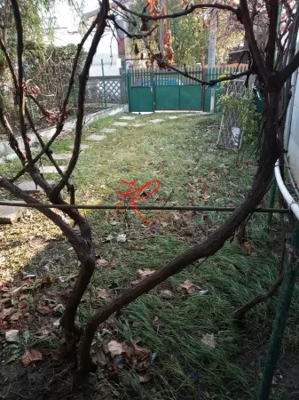 Casă 1 camera București - poza 6