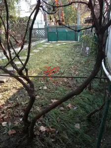Casă 1 camera București - poza 6