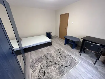 Apartament 1 camera Timișoara - poza 2