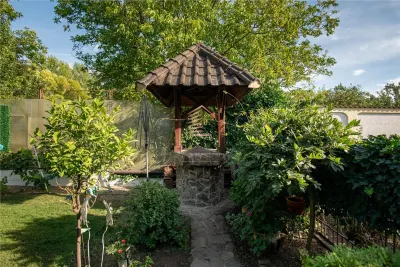 Casă 5 camere Rontau - poza 33