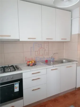 Apartament 2 camere Iași - poza 11