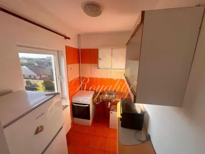 Apartament 1 camera Timișoara - poza 5