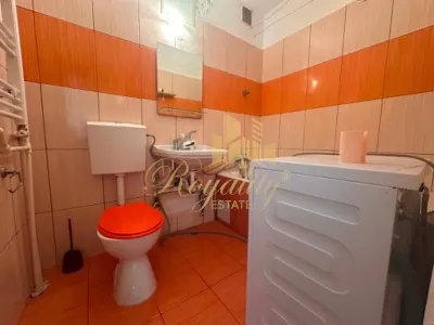 Apartament 1 camera Timișoara - poza 8