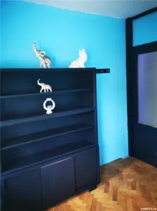 Apartament 2 camere Timișoara - poza 7