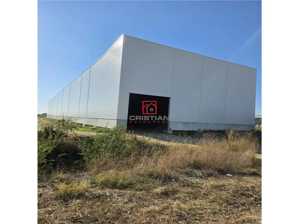 Spațiu industrial Mogoșoaia - poza 1