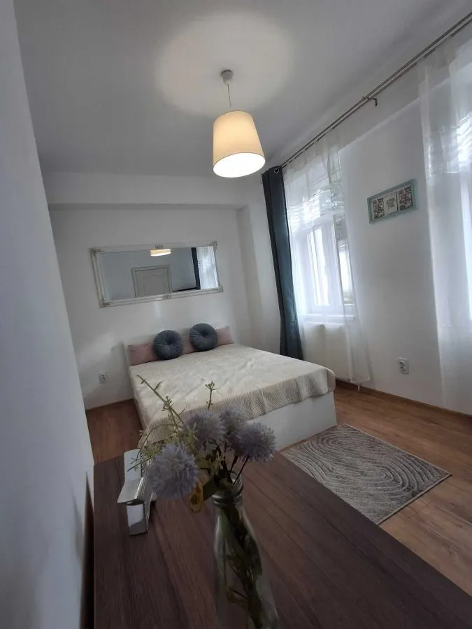Apartament 1 camera Iași - poza 1
