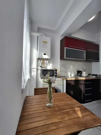 Apartament 1 camera Iași - poza 6
