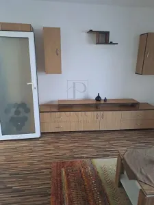 Apartament 1 camera Timișoara - poza 4