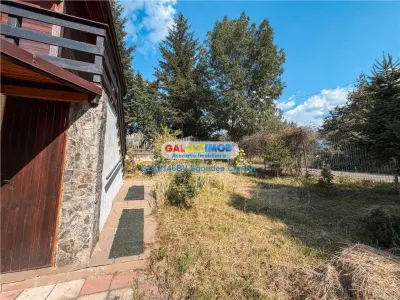 Casă 5 camere Bran - poza 7