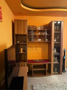 Apartament 3 camere Timișoara - poza 9