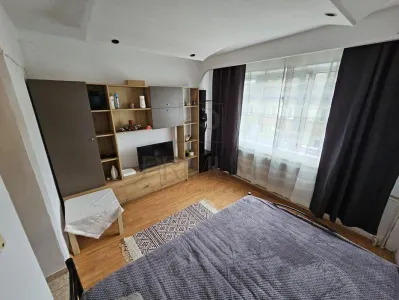 Apartament 1 camera Timișoara - poza 2