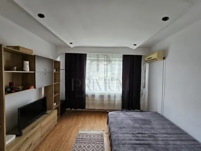 Apartament 1 camera Timișoara - poza 3