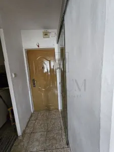 Apartament 1 camera Timișoara - poza 5