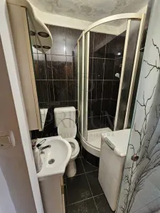 Apartament 1 camera Timișoara - poza 6