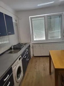 Apartament 1 camera Timișoara - poza 3
