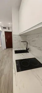 Apartament 1 camera Timișoara - poza 4