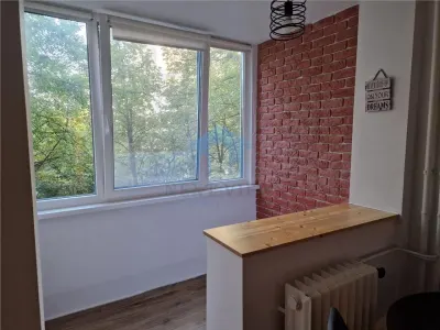 Apartament 1 camera Cluj-Napoca - poza 5